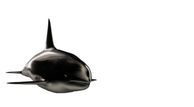 bir yansıtıcı yunus hayvan arka plan üzerinde 3D render