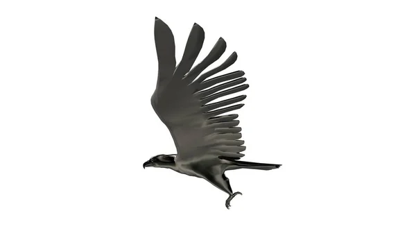 Rendering 3D di un uccello aquila riflettente che vola in aria — Foto Stock