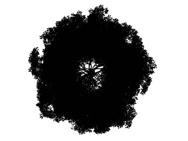 Beyaz arka plan üzerinde izole bir siluet ağacının 3D render