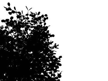 Beyaz arka plan üzerinde izole bir siluet ağacının 3D render