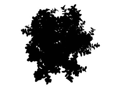 Beyaz arka plan üzerinde izole bir siluet ağacının 3D render