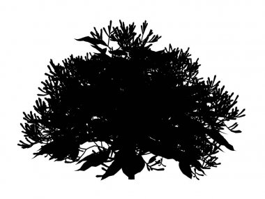 Beyaz arka plan üzerinde izole bir siluet ağacının 3D render