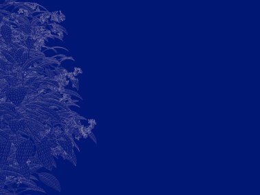 3D render anahatlı bir Bush üzerinde izole mavi arka blueprint