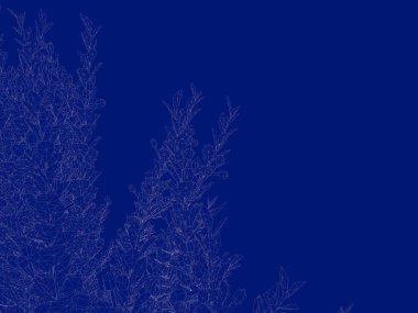3D render anahatlı bir Bush üzerinde izole mavi arka blueprint
