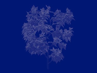 Seviyelendirilmiş ağacının bir 3B oluşturma blueprint üzerinde izole mavi arka