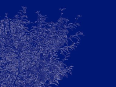 Seviyelendirilmiş ağacının bir 3B oluşturma blueprint üzerinde izole mavi arka