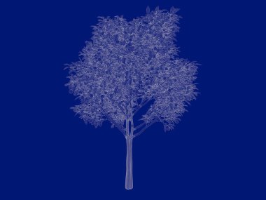 Seviyelendirilmiş ağacının bir 3B oluşturma blueprint üzerinde izole mavi arka