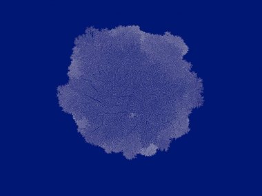 Seviyelendirilmiş ağacının bir 3B oluşturma blueprint üzerinde izole mavi arka