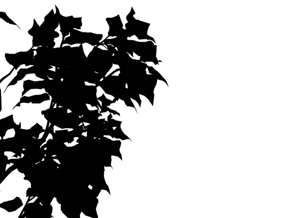 Rendering 3d di un albero di silhouette isolato su sfondo bianco — Foto Stock