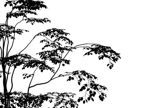 흰색 배경에 고립 된 실루엣의 3d 렌더링 — 스톡 사진
