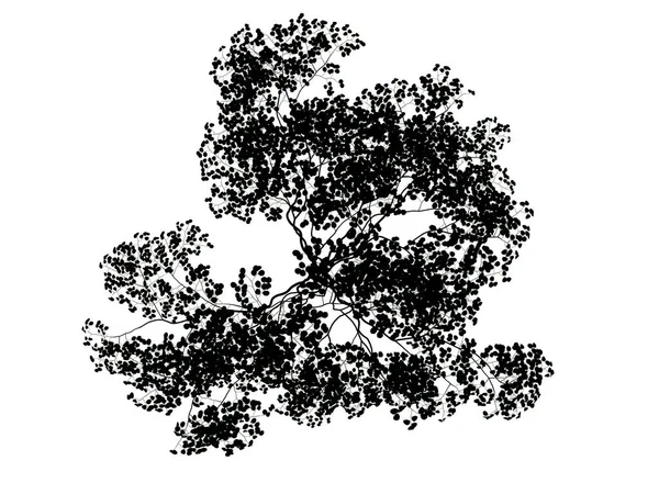 3D-Darstellung eines Silhouettenbaums isoliert auf weißem Hintergrund — Stockfoto