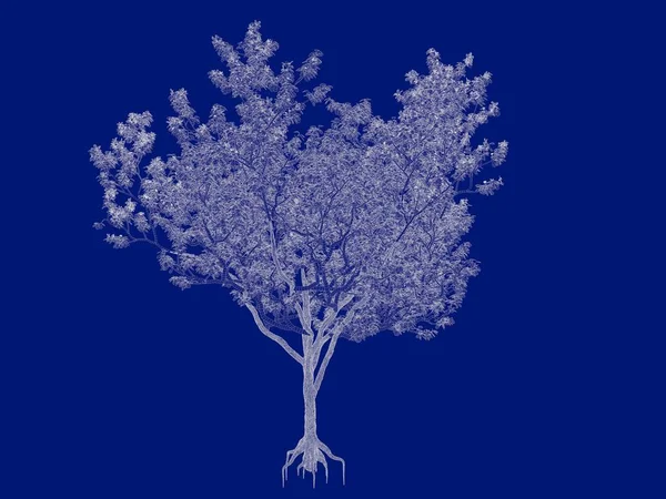 Τρισδιάστατη απεικόνιση του ένα περιγραμμένο δέντρο σχέδιο απομονωμένο σε μπλε πίσω — Φωτογραφία Αρχείου