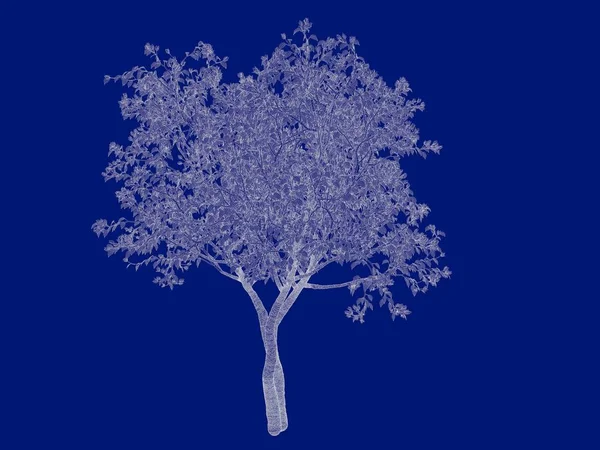 Representación 3d de un esquema de árbol perfilado aislado en la parte posterior azul —  Fotos de Stock