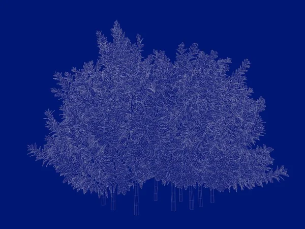 Seviyelendirilmiş ağacının bir 3B oluşturma blueprint üzerinde izole mavi arka — Stok fotoğraf