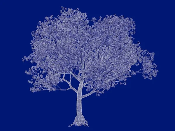 Representación 3d de un esquema de árbol perfilado aislado en la parte posterior azul —  Fotos de Stock