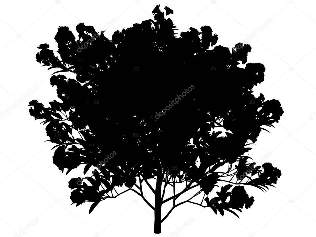 3d rendering of a silhouette tree isolated on white background