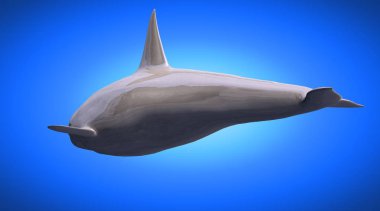 bir yansıtıcı yunus hayvan arka plan üzerinde 3D render