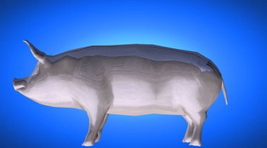 bir yansıtıcı şişko domuz hayvan arka plan üzerinde 3D render