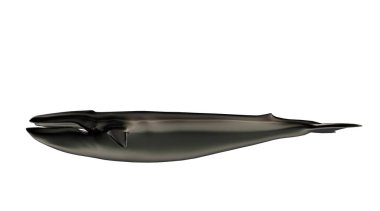 bir arka plan üzerinde yansıtıcı bir büyük Wahle 3D render