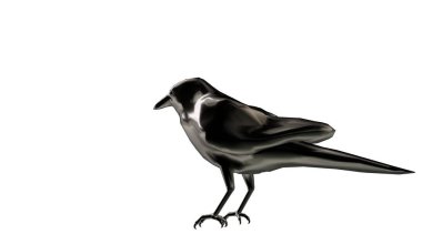 bir ayakta yansıtıcı karga kuş 3D render