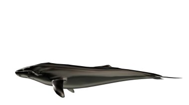 yüzgeçleri ile Yüzme bir yansıtıcı balık şekil 3D render