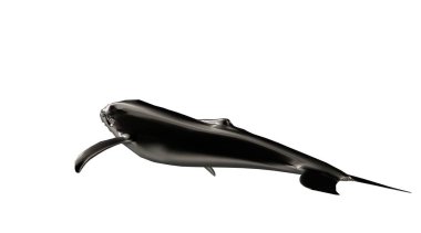 yüzgeçleri ile Yüzme bir yansıtıcı balık şekil 3D render