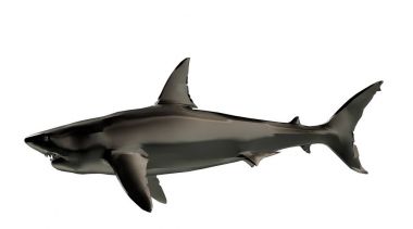 yüzgeçleri ile Yüzme bir yansıtıcı balık şekil 3D render