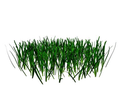 çiçek Bush üzerinde beyaz izole 3D render-ebilmek var olmak kullanılmış için fo