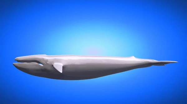 3D-рендерінг світловідбиваючого великий Вале на тлі — стокове фото