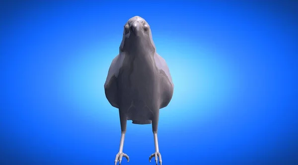 Representación 3d de un pájaro de cuervo reflectante de pie —  Fotos de Stock