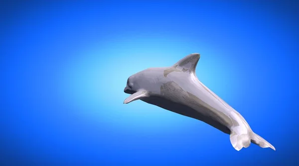 3d rendering of a reflective dolphine jumping in the air — Stock Photo, Image