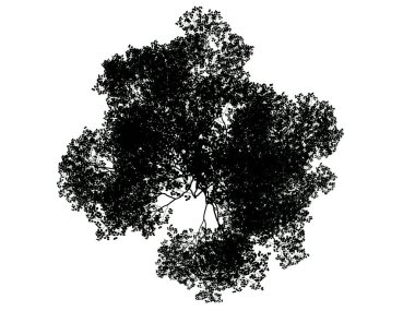 Beyaz arka plan üzerinde izole bir siluet ağacının 3D render