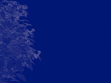 3D render anahatlı bir Bush üzerinde izole mavi arka blueprint