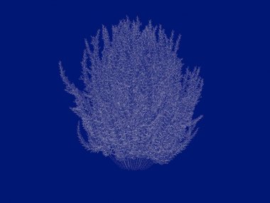3D render anahatlı bir Bush üzerinde izole mavi arka blueprint