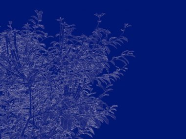 Seviyelendirilmiş ağacının bir 3B oluşturma blueprint üzerinde izole mavi arka