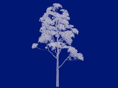 Seviyelendirilmiş ağacının bir 3B oluşturma blueprint üzerinde izole mavi arka