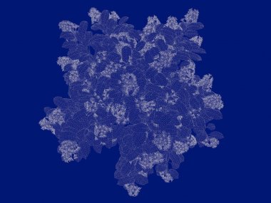 3D render anahatlı bir Bush üzerinde izole mavi arka blueprint