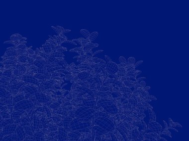 Seviyelendirilmiş ağacının bir 3B oluşturma blueprint üzerinde izole mavi arka