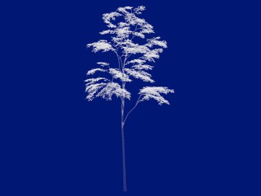 Seviyelendirilmiş ağacının bir 3B oluşturma blueprint üzerinde izole mavi arka