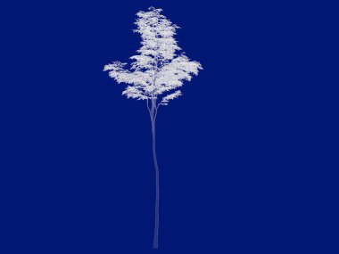 Seviyelendirilmiş ağacının bir 3B oluşturma blueprint üzerinde izole mavi arka