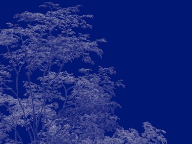 Seviyelendirilmiş ağacının bir 3B oluşturma blueprint üzerinde izole mavi arka