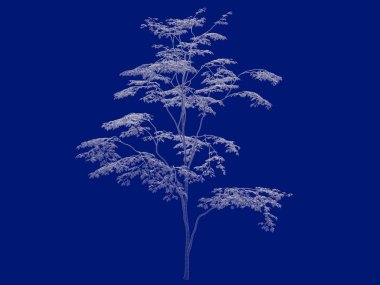 Seviyelendirilmiş ağacının bir 3B oluşturma blueprint üzerinde izole mavi arka