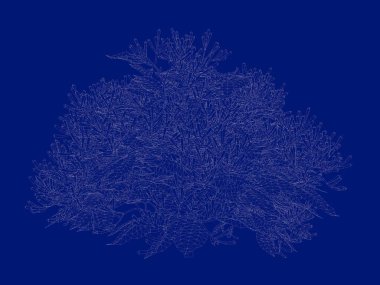 Seviyelendirilmiş ağacının bir 3B oluşturma blueprint üzerinde izole mavi arka