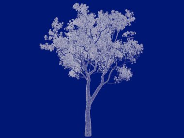 Seviyelendirilmiş ağacının bir 3B oluşturma blueprint üzerinde izole mavi arka