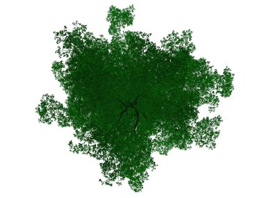 Seviyelendirilmiş siyah ağaç izole yeşil kenarlı bir 3D render