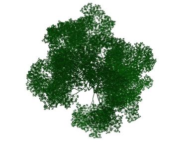 Seviyelendirilmiş siyah ağaç izole yeşil kenarlı bir 3D render