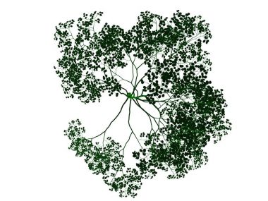 Seviyelendirilmiş siyah ağaç izole yeşil kenarlı bir 3D render