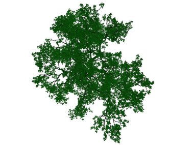 Seviyelendirilmiş siyah ağaç izole yeşil kenarlı bir 3D render