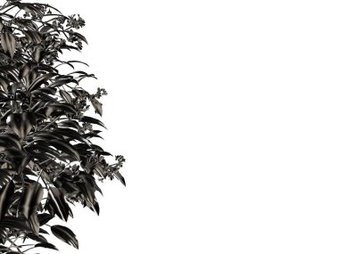 Beyaz bir arka plan üzerinde izole gümüş ağaç 3D render