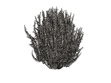 Beyaz bir arka plan üzerinde izole gümüş ağaç 3D render